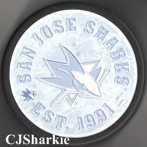 Frozen Logo Puck collectible