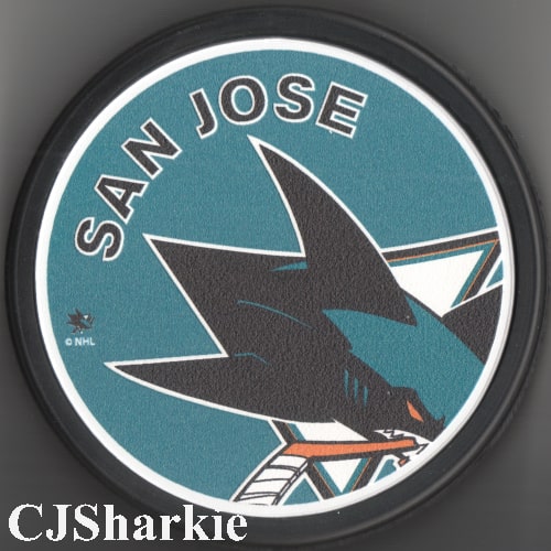 Icon Logo Puck collectible