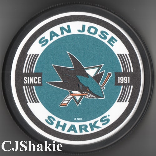 Soundwave Logo Puck front view