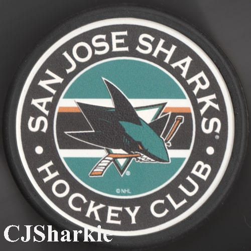 Stripever Logo Puck front view