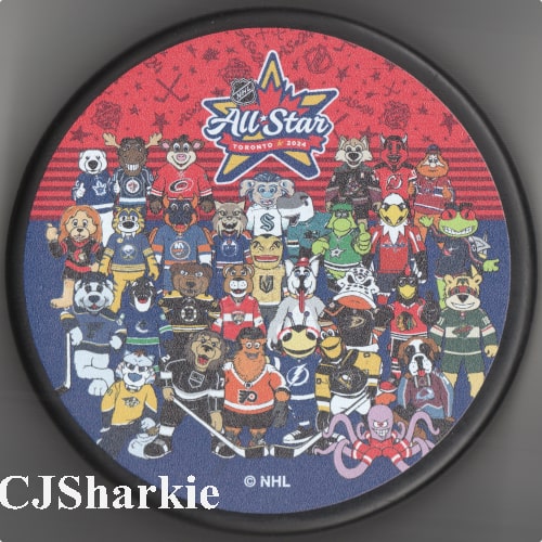 2023-2024 All Star Mascot Puck