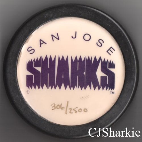 1991-1992 Bitten Text Logo 1st Season Limited Edition Puck